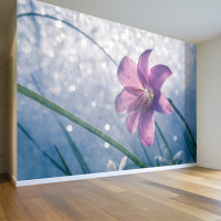 3D Flower Lily Wall Poster