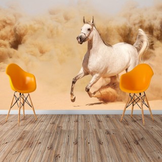 Wallpaper Horse among the Sands
