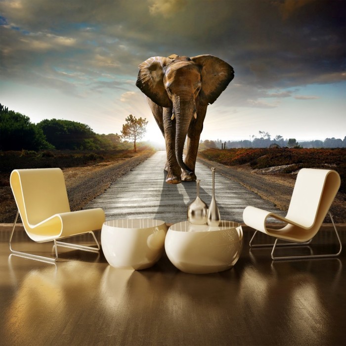 Elephant Wall Poster