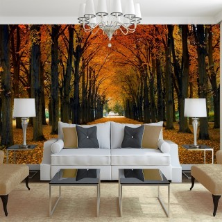 Autumn Path Wall Poster